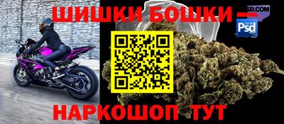 стафф Лесосибирск