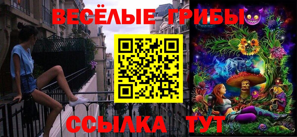 Углич  Галлюциногенные грибы мухоморы  Вход с VPN  хочу наркоту  Галлюциногенные грибы прущие грибы 