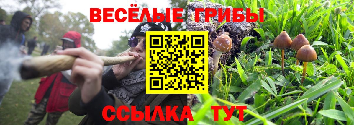 Галлюциногенные грибы Psilocybine cubensis Углич