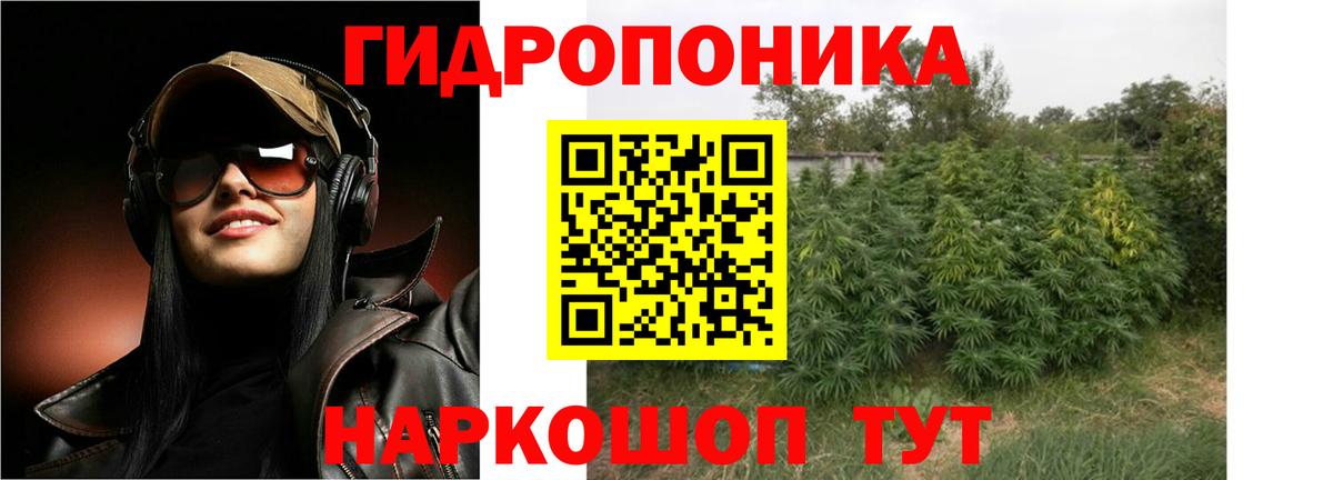 Бошки Шишки THC 21%  Вход с VPN  Углич  Каннабис семена  Конопля планчик  Конопля Ganja 